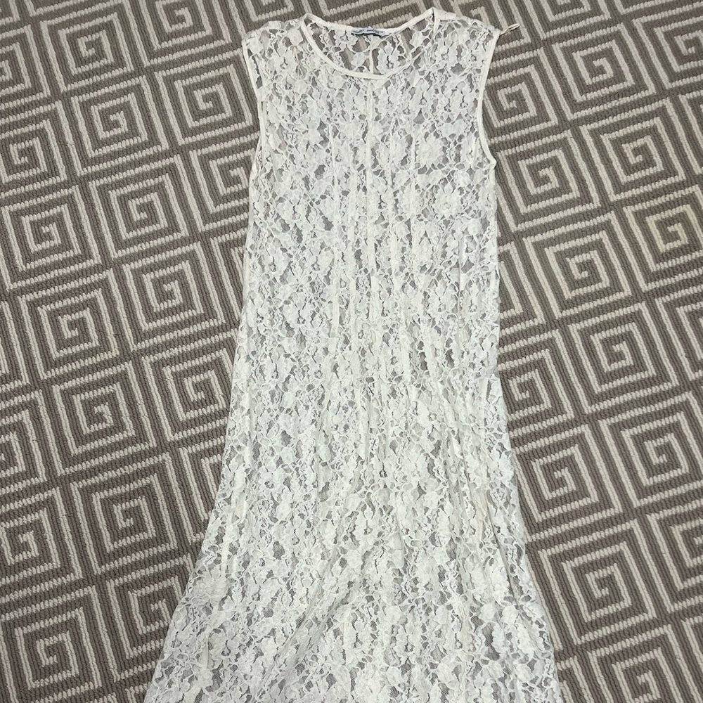 Gorgeous Lace Zara Slip Dress